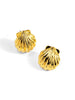Seashell Stud Earring